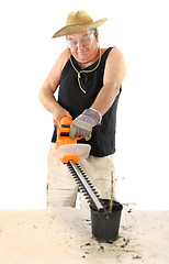 Image showing Gardener With Hedge Trimmer