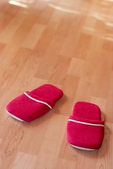 Image showing Slippers