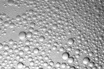 Image showing Bubbles