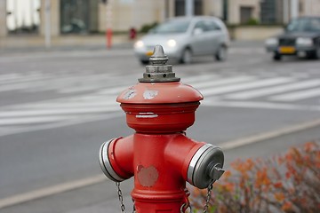 Image showing Hydrant