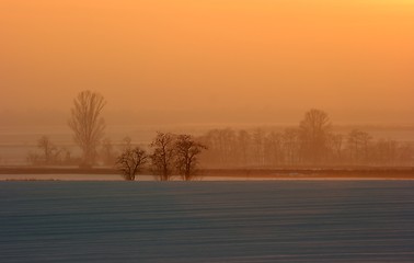 Image showing Landscape