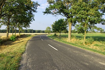 Image showing Road