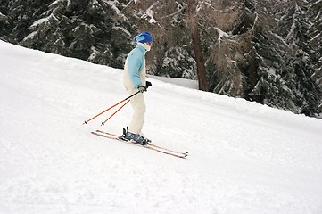 Image showing Skier