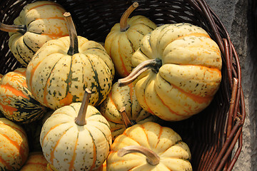 Image showing pumpkins