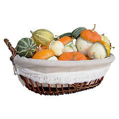 Image showing Pumpkins