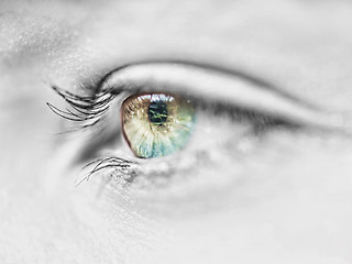 Image showing Eye macro