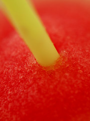 Image showing Straw closeup