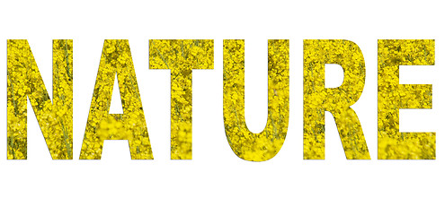 Image showing Nature font