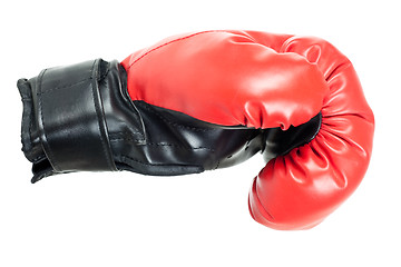 Image showing Boxing glove