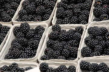 Image showing Blackberries