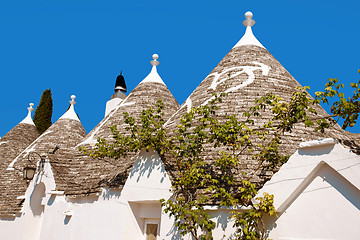 Image showing Trulli of Alberobello in Apulia