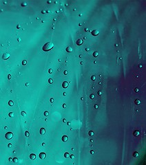 Image showing Droplets