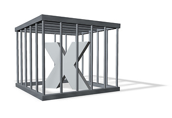 Image showing big X in a cage