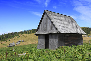 Image showing Traditional wooden Romanian house