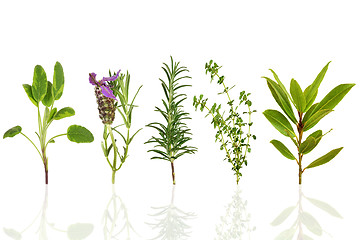 Image showing Herb Leaf Selection