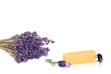 Image showing Lavender Herb Flower Products