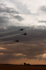 Image showing Three Helicopters