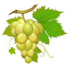 Image showing White grape