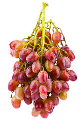 Image showing Grapes isolated on white background