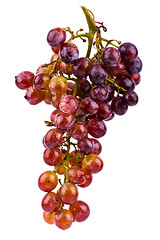 Image showing Grapes isolated on white background