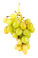 Image showing Grapes isolated on white background