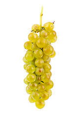 Image showing Grapes isolated on white background