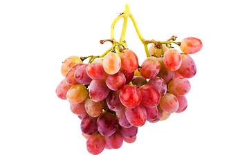 Image showing Grapes isolated on white background