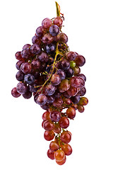 Image showing Grapes isolated on white background