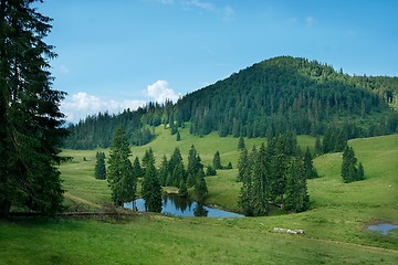 Image showing Landscape