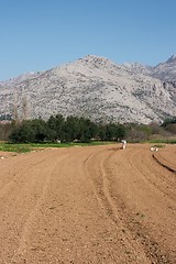 Image showing Farming