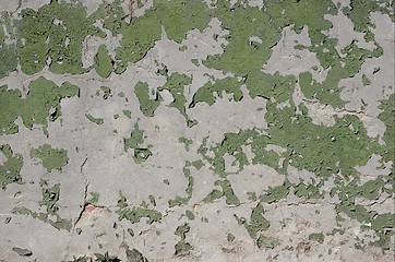 Image showing Texture