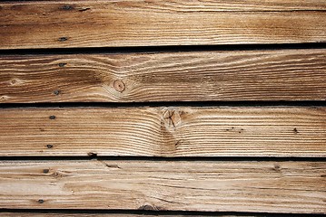 Image showing Wood