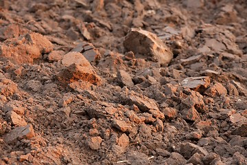 Image showing Soil