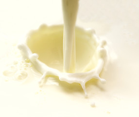 Image showing milk