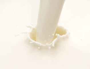 Image showing milk