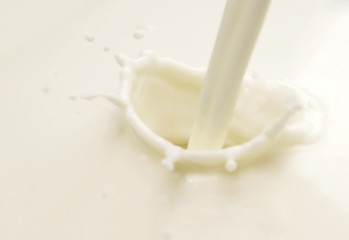 Image showing milk