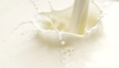 Image showing milk