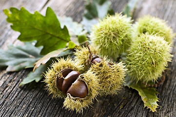 Image showing Chestnuts