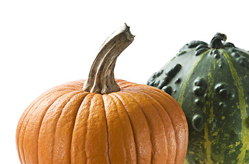 Image showing Pumpkin