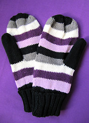 Image showing Mittens