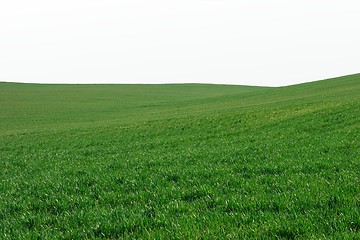 Image showing Field