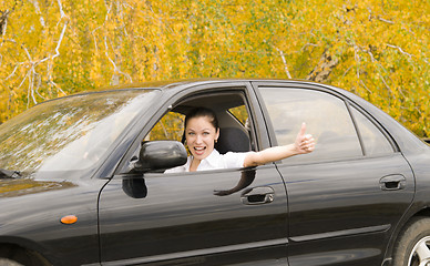 Image showing happy driver
