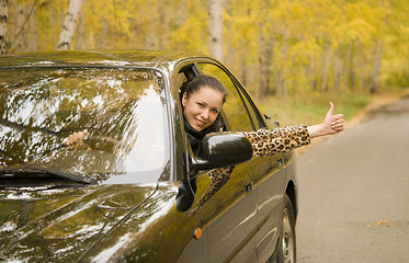 Image showing happy driver