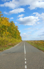 Image showing autumn road