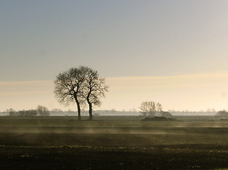 Image showing Two Lonely Trees in the Morning