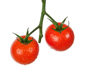 Image showing Tomatoes on a vine