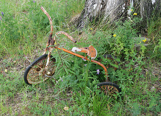 Image showing Abandoned tricycle