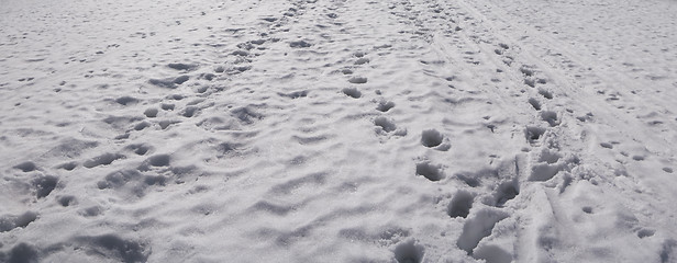 Image showing tracks in snow