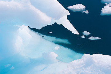 Image showing Iceberg dripping