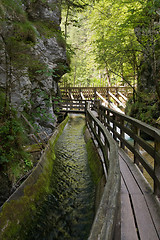 Image showing Adventure Park in Mendlingtal